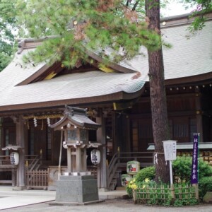 前鳥神社｜由緒ある神社の歴史と見どころ、参拝情報を完全ガイド