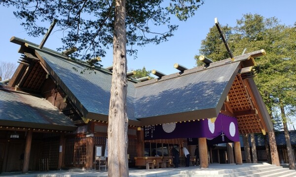 北海道神宮｜由緒ある神宮の歴史と見どころ、参拝情報を完全ガイド