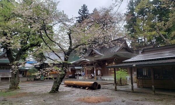 Komagata-jinja Shrine｜Complete guide to the history, highlights, and worship information of this historic shrine