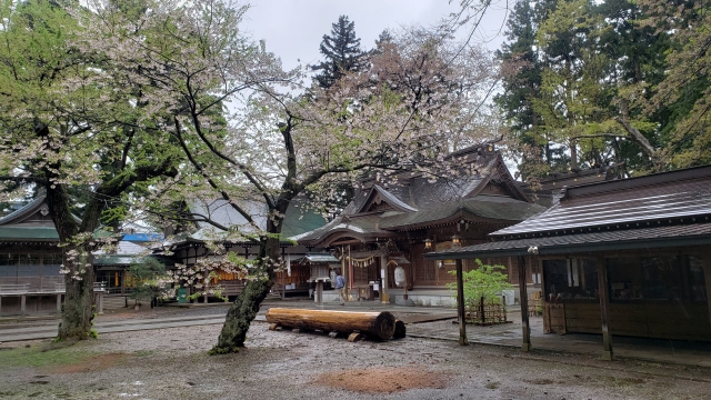 陸中一宮 駒形神社｜由緒ある神社の歴史と見どころ、参拝情報を完全ガイド
