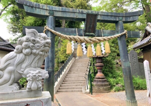Hoshinomiya Shrine (Shimono-shi)｜Complete guide to the history, highlights, and worship information of this historic shrine