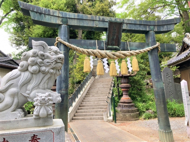 星宮神社(下野市)|由緒ある神社の歴史と見どころ、参拝情報を完全ガイド