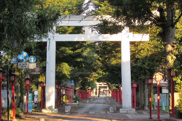 須賀神社|小山六十六郷の総鎮守として千年の歴史を誇る由緒ある神社の魅力を完全ガイド