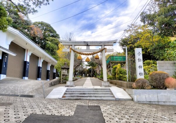 小動神社|由緒ある神社の歴史と見どころ、参拝情報を完全ガイド
