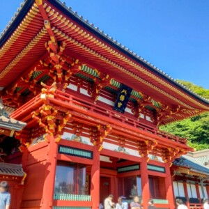 Tsurugaoka Hachimangu Shrine｜A complete guide to the history, highlights, and worship information of this historic Kamakura guardian shrine