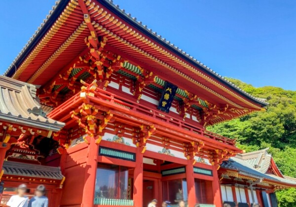 Tsurugaoka Hachimangu Shrine｜A complete guide to the history, highlights, and worship information of this historic Kamakura guardian shrine