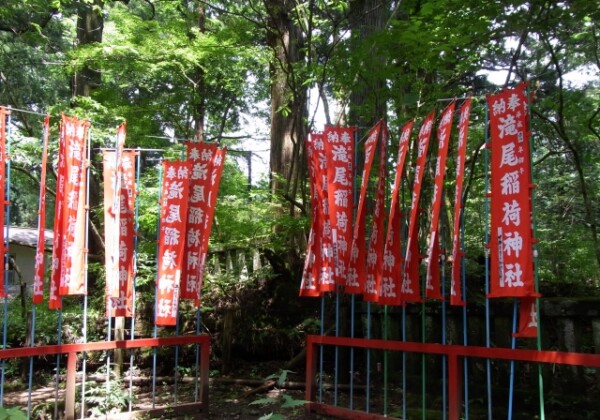 Takio Jinja｜Complete guide to the hidden power spot and highlights of the Nikko Futaarasan Shrine Annex, and information on worshipping at the shrine.
