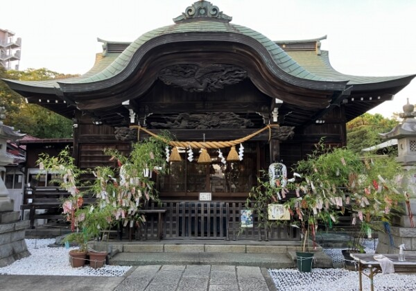 菊田神社｜由緒ある神社の歴史と見どころ、参拝情報を完全ガイド