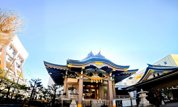 柏神社｜由緒ある神社の歴史と見どころ、参拝情報を完全ガイド