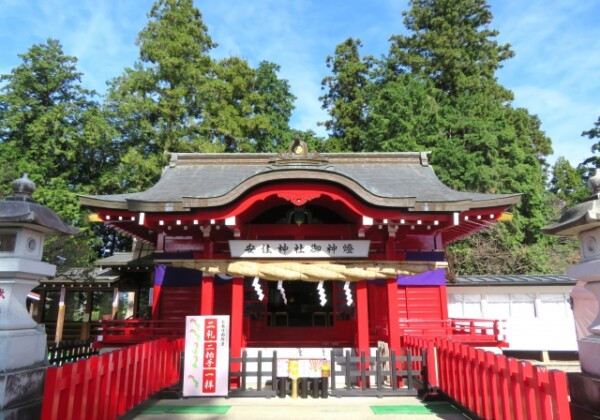 Azumi-jinja Shrine｜Complete guide to the history, highlights, and worship information of this historic shrine