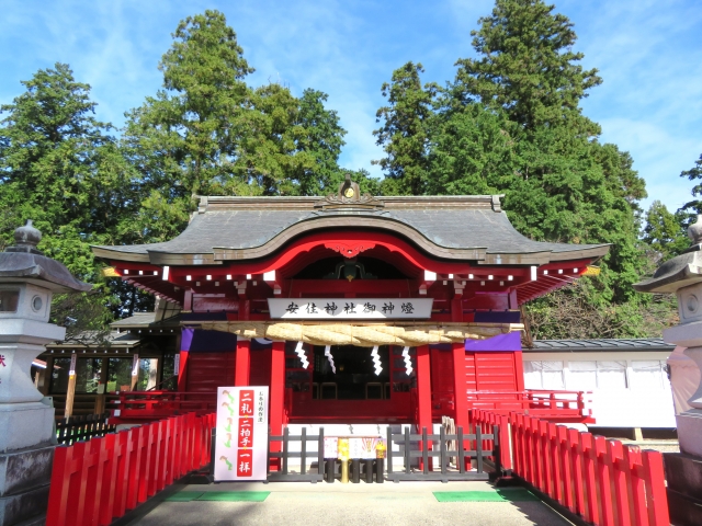 Azumi-jinja Shrine|Complete guide to the history, highlights, and worship information of this historic shrine