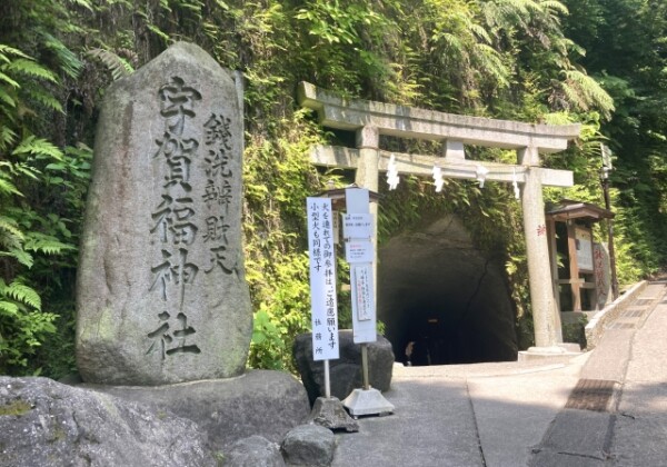Zenarai Benzaiten Ugafukujinja｜Complete guide to the history, highlights, and worship information of this money-loving shrine associated with Minamoto no Yoritomo