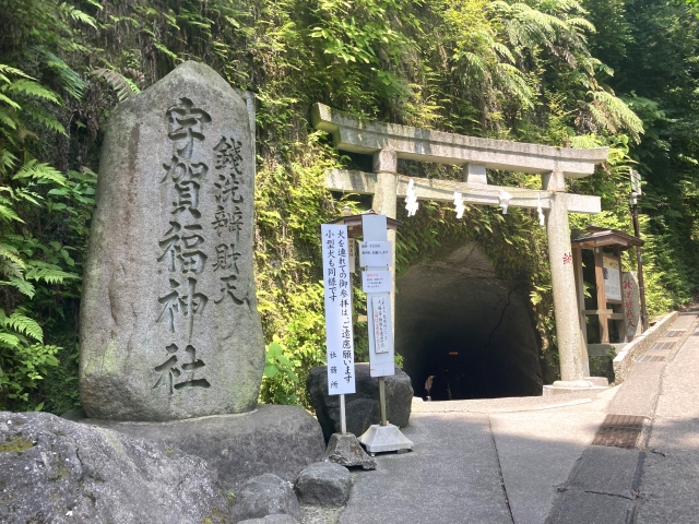 Zenarai Benzaiten Ugafukujinja｜Complete guide to the history, highlights, and worship information of this money-loving shrine associated with Minamoto no Yoritomo