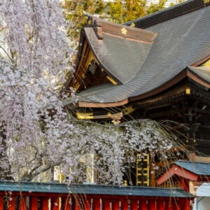 榴岡天満宮｜杜の都仙台で愛される学問の神様の由緒と見どころ、参拝案内を完全ガイド