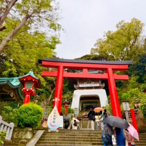 Eshima Shrine｜Complete guide to the history, highlights, and worship information of this historic shrine
