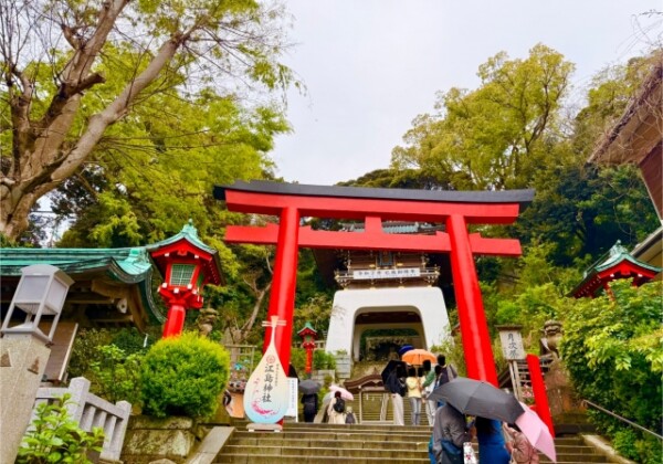 Eshima Shrine｜Complete guide to the history, highlights, and worship information of this historic shrine
