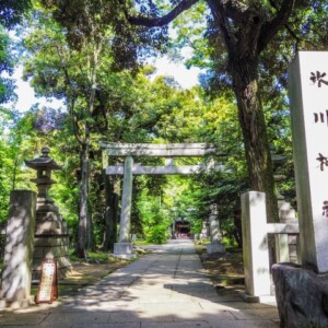 赤坂氷川神社｜由緒ある縁結びの聖地の歴史と見どころ、参拝情報を完全ガイド