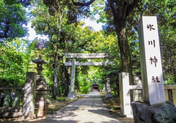 赤坂氷川神社｜由緒ある縁結びの聖地の歴史と見どころ、参拝情報を完全ガイド