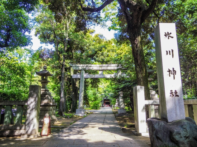 赤坂氷川神社｜由緒ある縁結びの聖地の歴史と見どころ、参拝情報を完全ガイド