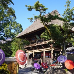 青井阿蘇神社｜由緒ある国宝神社の歴史と見どころ、参拝情報を完全ガイド