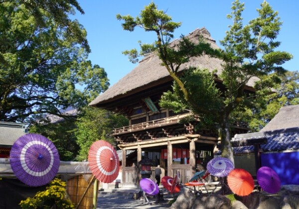 青井阿蘇神社｜由緒ある国宝神社の歴史と見どころ、参拝情報を完全ガイド
