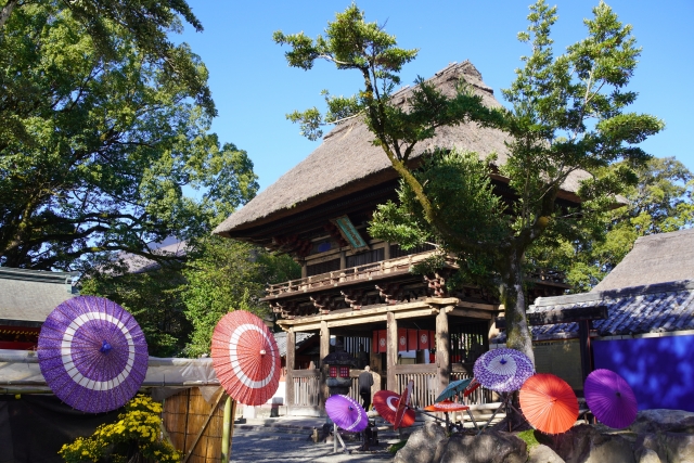 青井阿蘇神社|由緒ある国宝神社の歴史と見どころ、参拝情報を完全ガイド