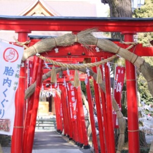 於菊稲荷神社｜江戸時代の美談が息づく由緒ある神社の歴史と見どころを完全ガイド