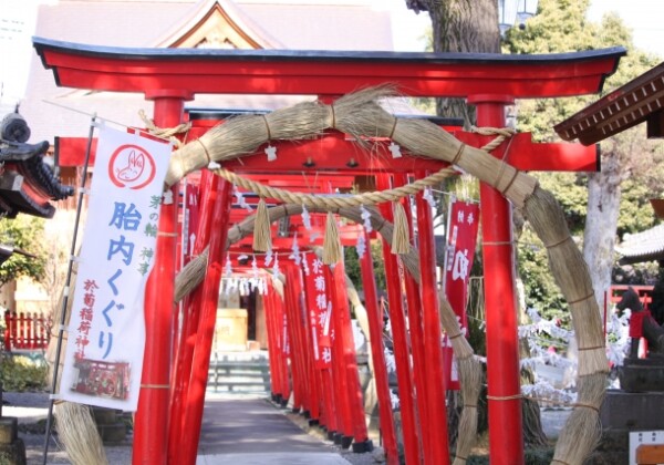 於菊稲荷神社｜江戸時代の美談が息づく由緒ある神社の歴史と見どころを完全ガイド