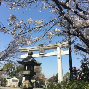 潮田神社｜由緒ある神社の歴史と見どころ、参拝情報を完全ガイド