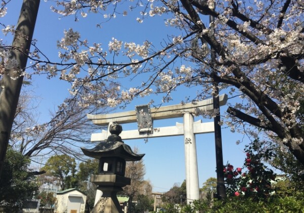 潮田神社｜由緒ある神社の歴史と見どころ、参拝情報を完全ガイド