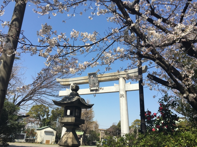 潮田神社|由緒ある神社の歴史と見どころ、参拝情報を完全ガイド