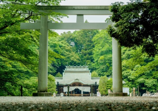 Gokoku-jinja Shrine, Tochigi Prefecture｜Complete guide to the history, highlights, and worship at the historic Gokoku-jinja Shrine, which has been honored by the Emperor of Japan.