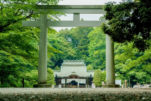 Gokoku-jinja Shrine, Tochigi Prefecture|Complete guide to the history, highlights, and worship at the historic Gokoku-jinja Shrine, which has been honored by the Emperor of Japan.