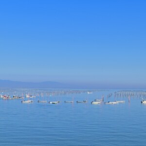 たらふく丼とは？その魅力と由来、佐賀・太良町のご当地グルメを詳しく解説