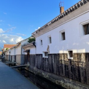 倉吉張子とは？その魅力と歴史、特徴など詳しく解説