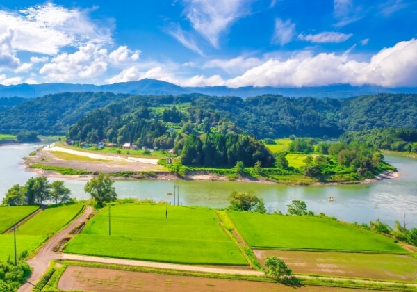 飯山仏壇とは？その魅力と歴史、特徴など詳しく解説