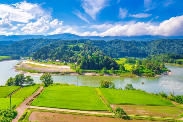 飯山仏壇とは？その魅力と歴史、特徴など詳しく解説