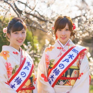 水戸の梅とは？その魅力と歴史、見どころなど詳しく解説（<a rel="nofollow" class="external text" href="https://www.flickr.com/people/9596, CC BY 2.0）