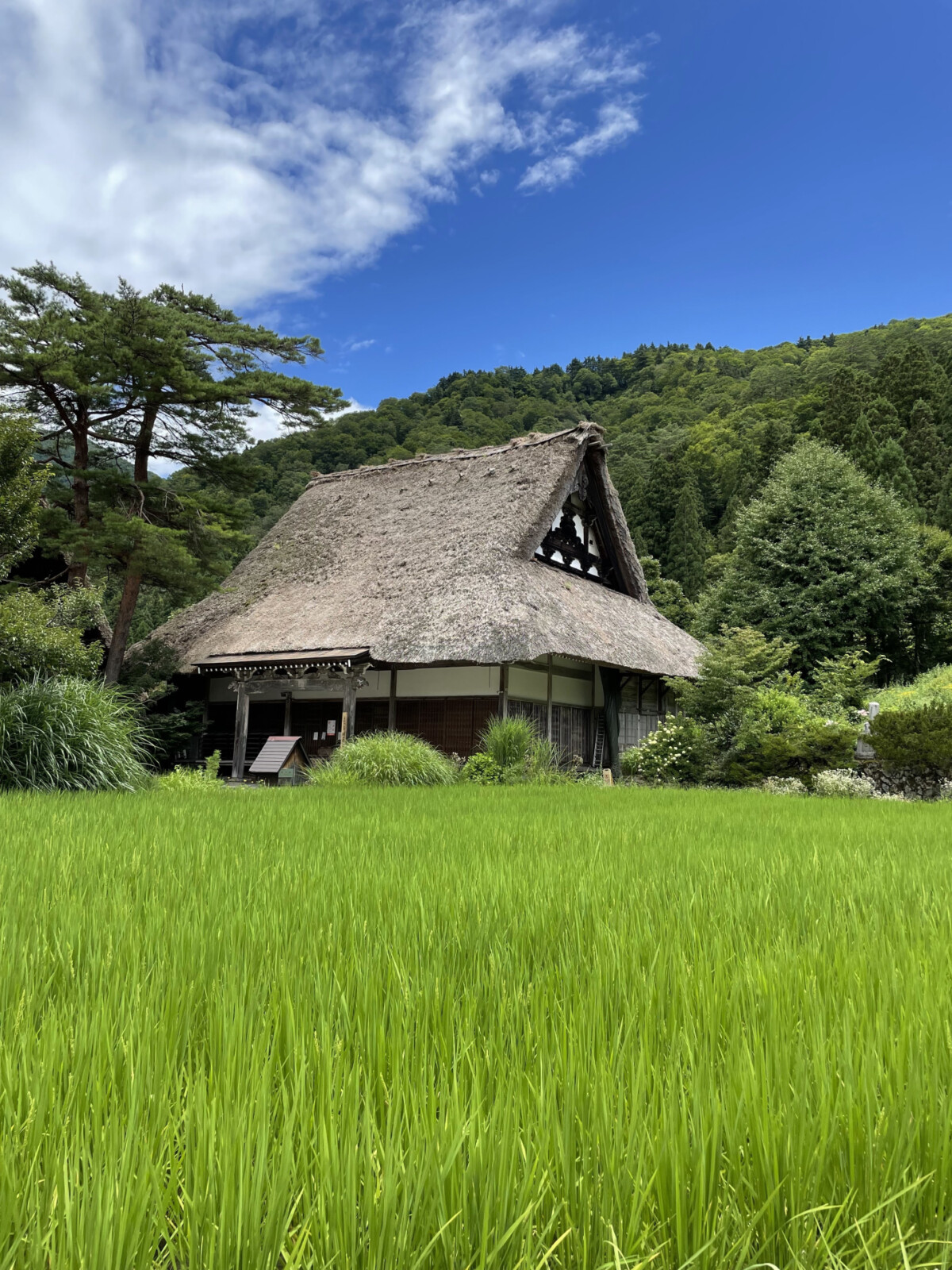 飛騨高山、江戸の面影が息づく町へ。歴史と見どころをやさしくご案内