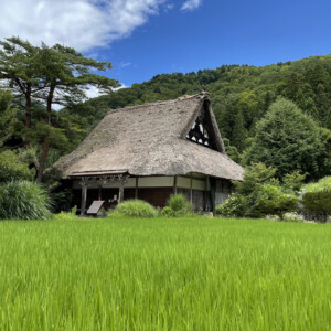 飛騨高山、江戸の面影が息づく町へ。歴史と見どころをやさしくご案内