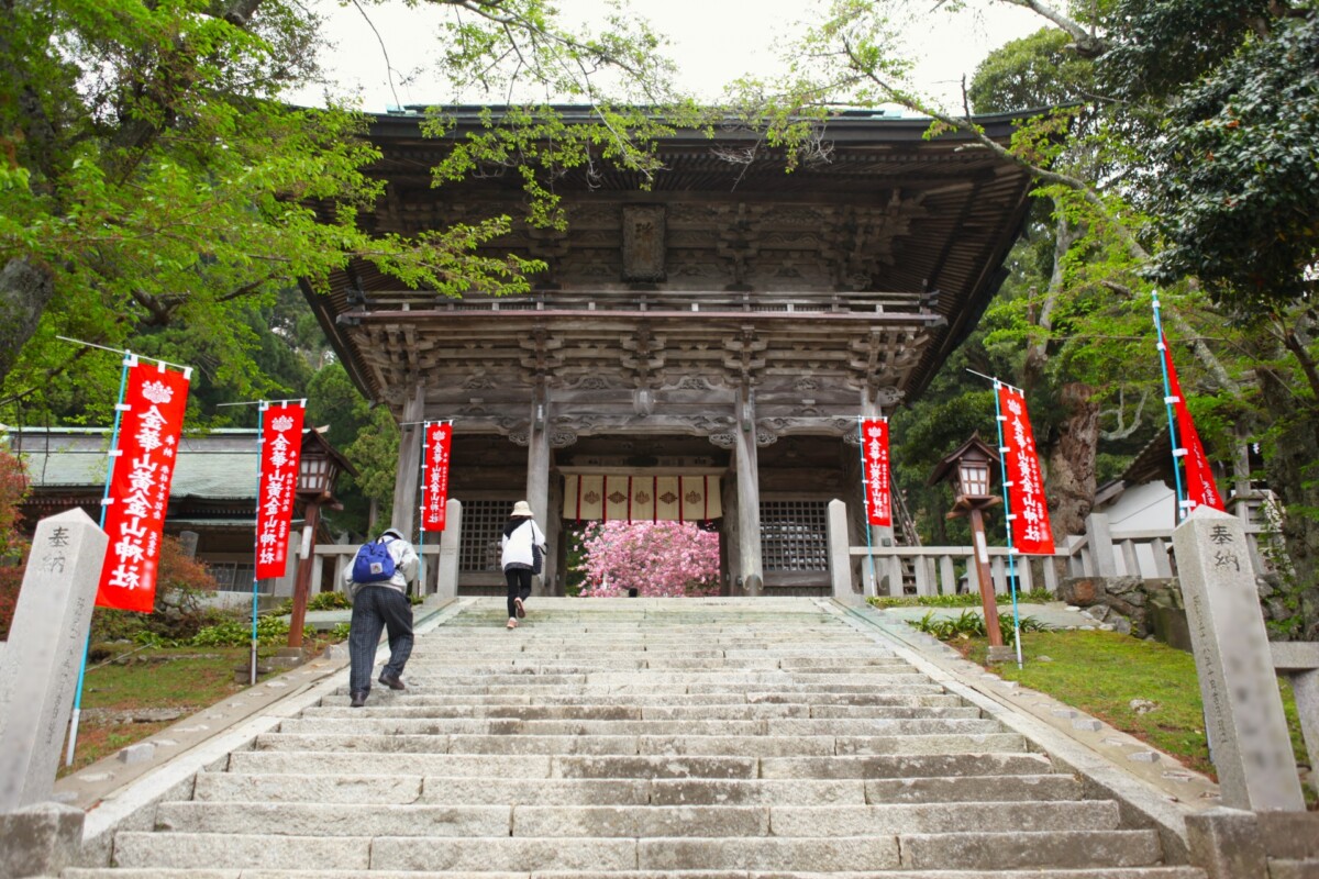 船で渡る聖域へ。金華山と黄金山神社、その歩き方