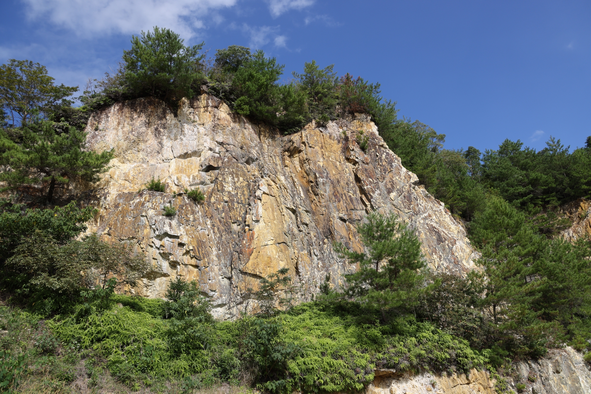 有田焼の原料となる陶石を産した泉山磁石場の岩肌