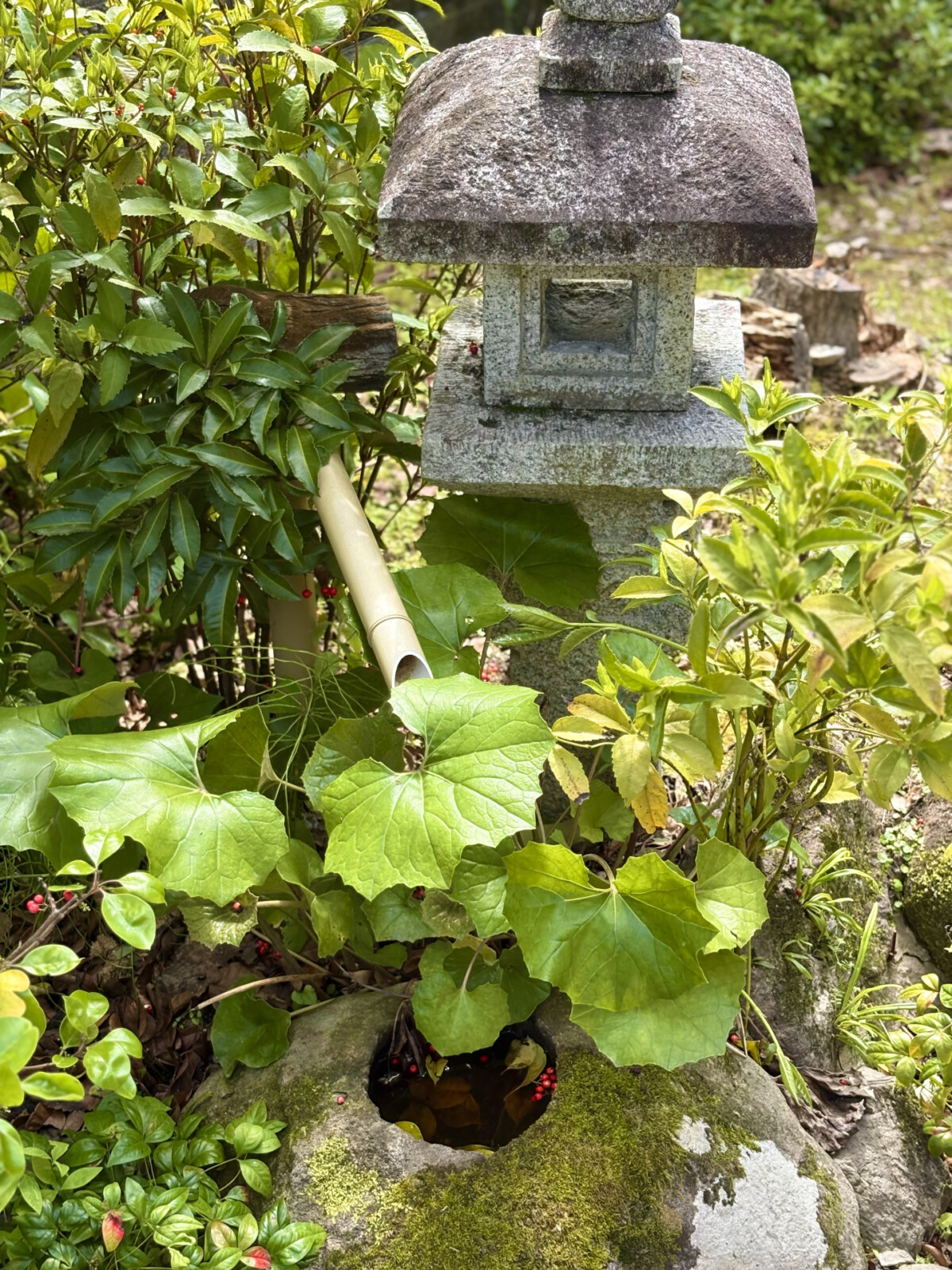 石灯籠のある日本庭園(出雲石燈ろう)