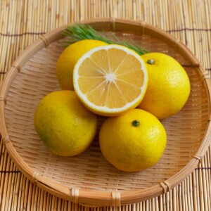 日向夏とは？その魅力と歴史、おすすめレシピなど詳しく解説