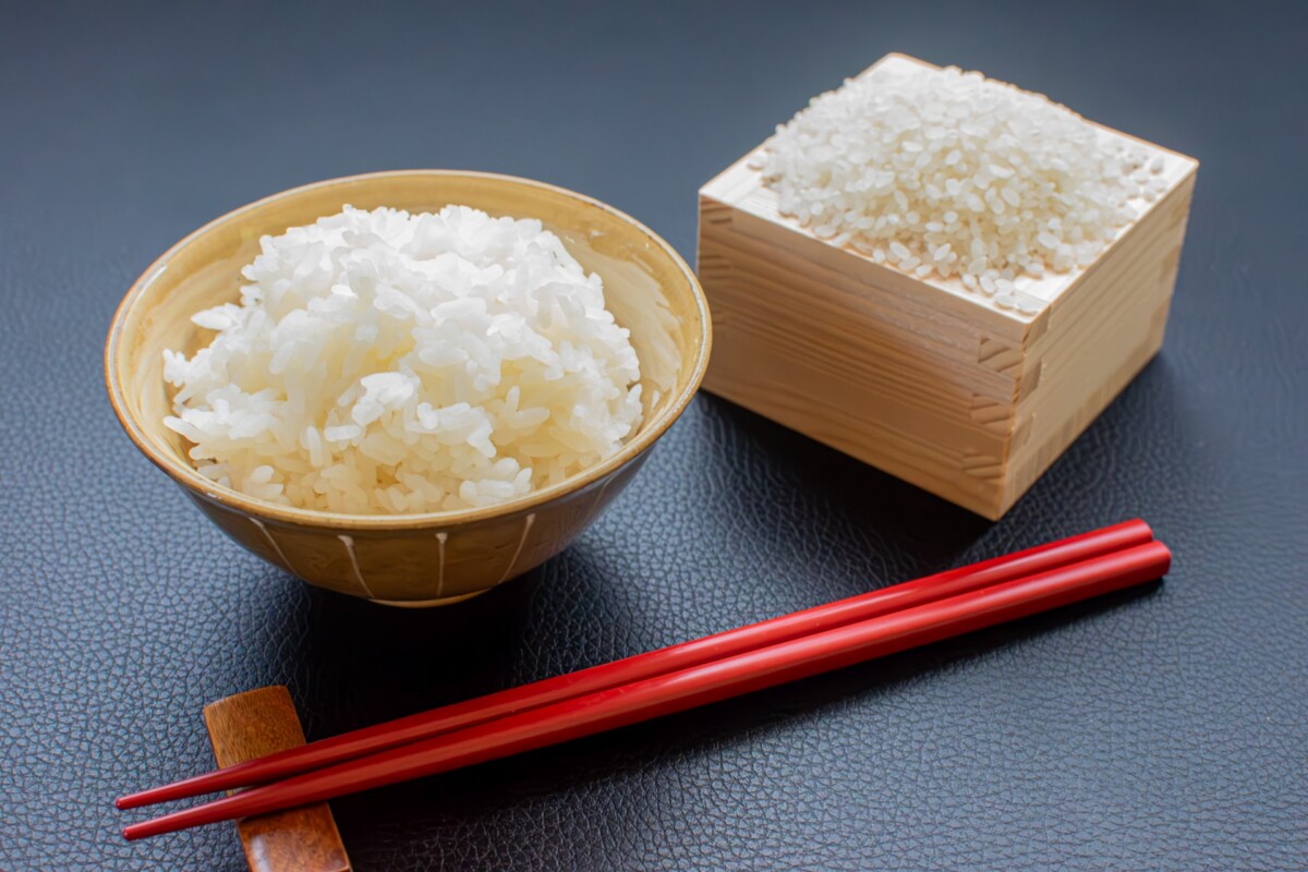 箸でワクワクを食卓へ!若狭塗を守る「箸蔵まつかん」