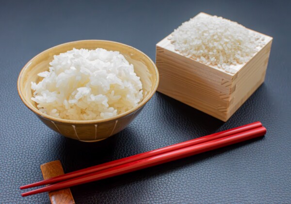 箸でワクワクを食卓へ！若狭塗を守る「箸蔵まつかん」