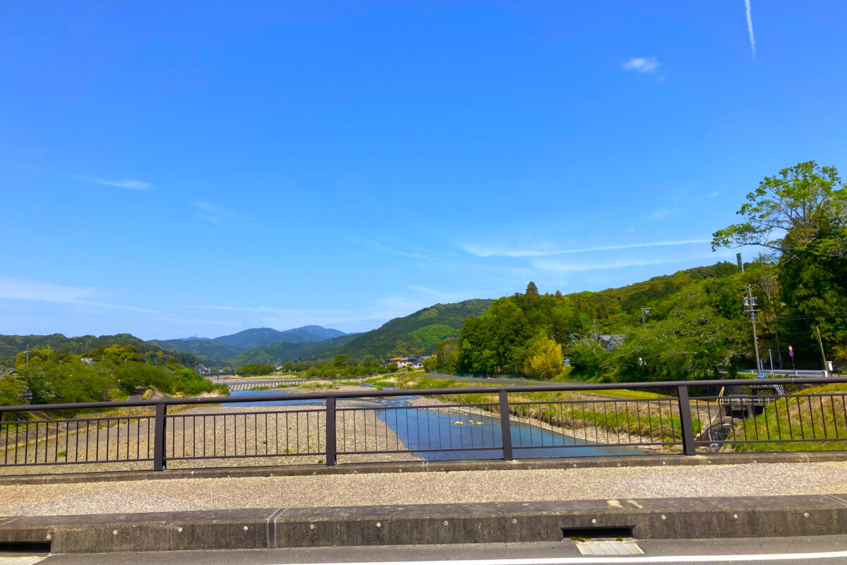 静岡・桜えびの旬を味わう、シーン別「食べ方」案内