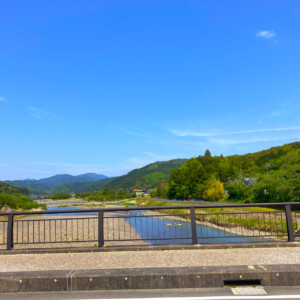 静岡・桜えびの旬を味わう、シーン別「食べ方」案内