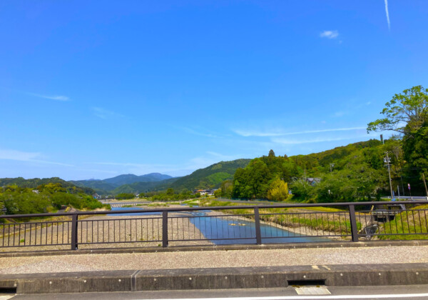 静岡・桜えびの旬を味わう、シーン別「食べ方」案内