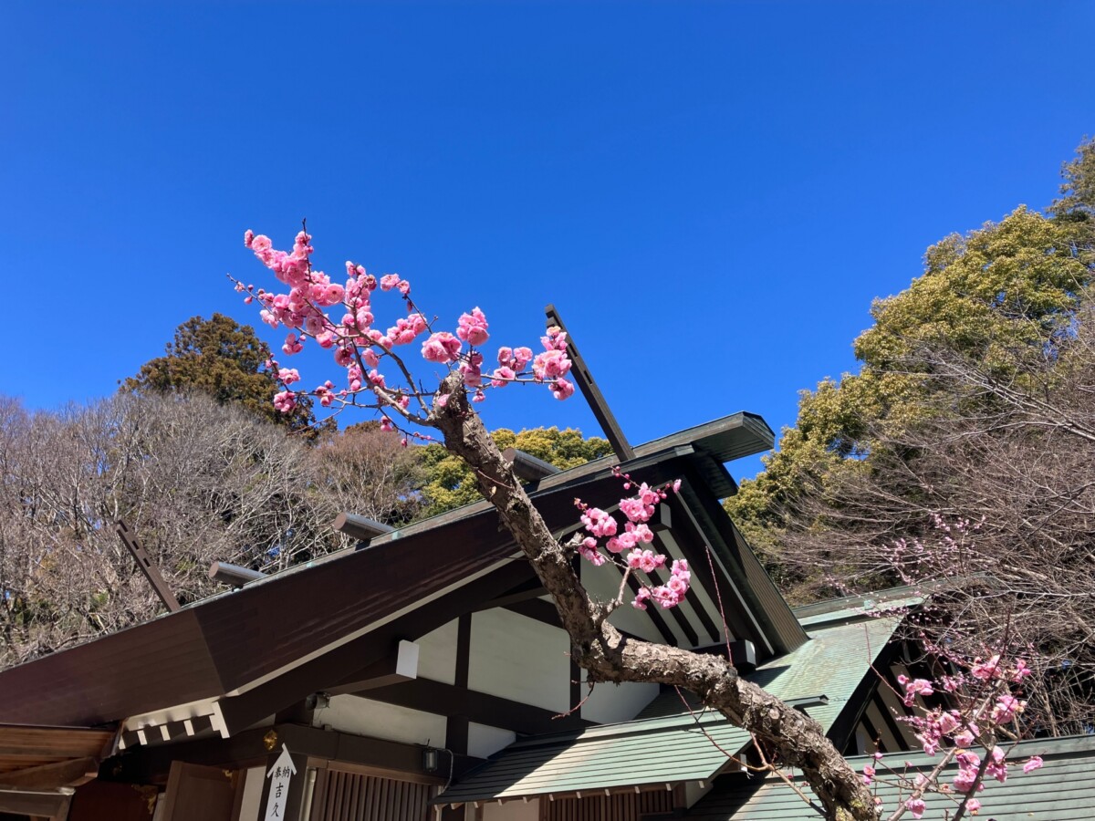 偕楽園で梅を訪ねる旅。日本三名園がみせる早春の彩り